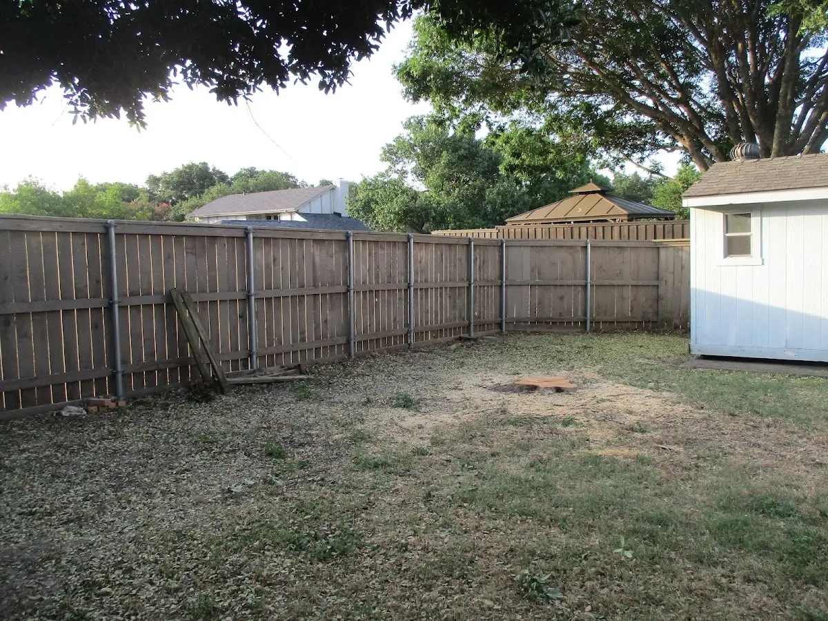 Cleared yard after professional tree removal in Turner