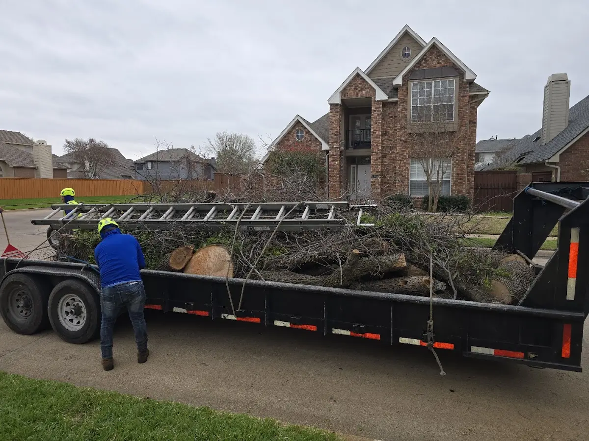 Expert Tree Fertilization with proper safety equipment in Turner